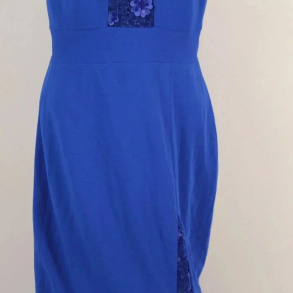 NWT  DRESS THE POPULATION - Picture 3 of 12